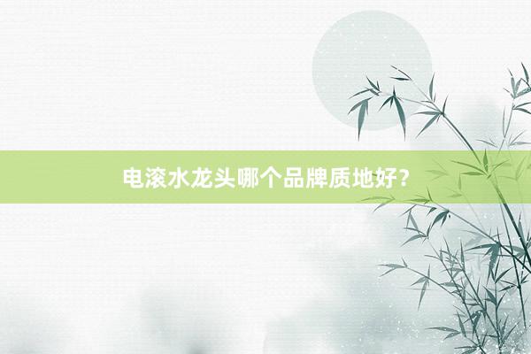 电滚水龙头哪个品牌质地好？