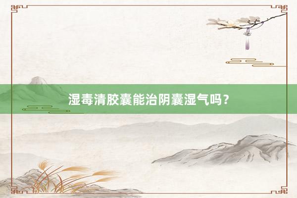 湿毒清胶囊能治阴囊湿气吗？